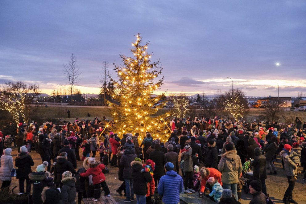 Hirðing jólatrjáa stendur yfir 7.-11.janúar.