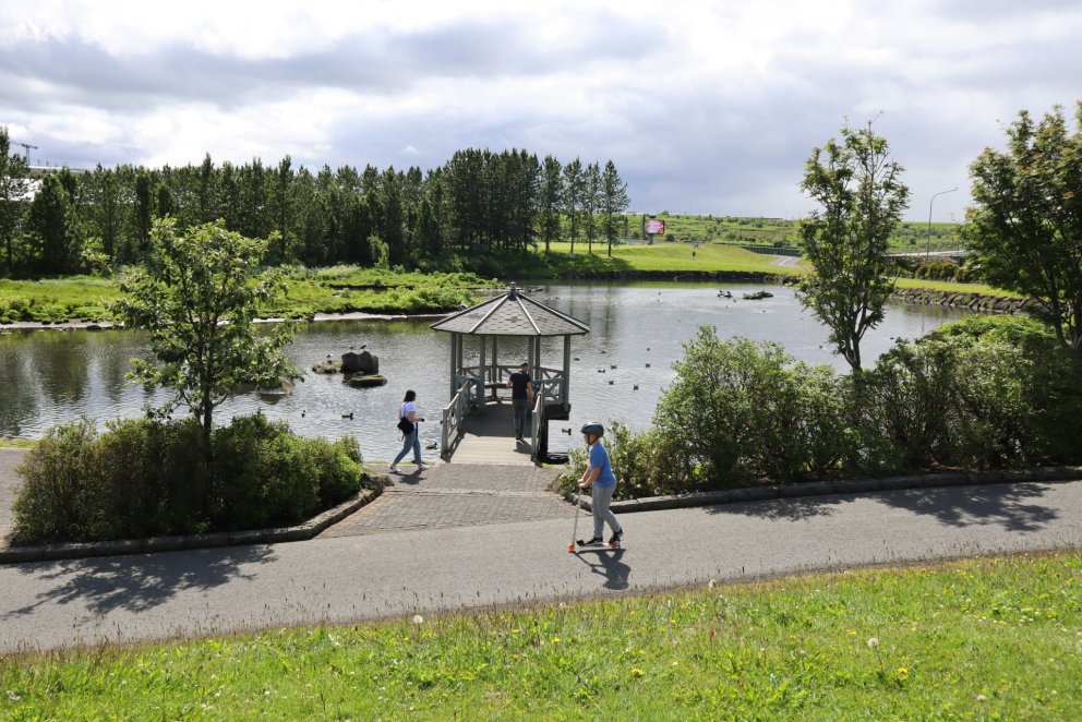Við Kópavogstjörn í Kópavogsdal.