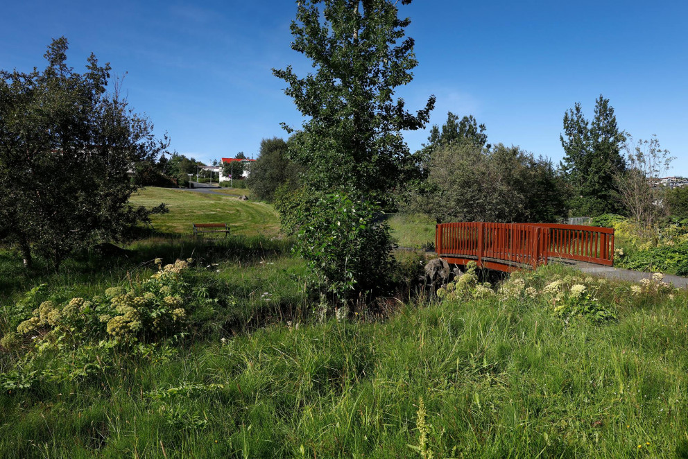 Kópavogsdalur