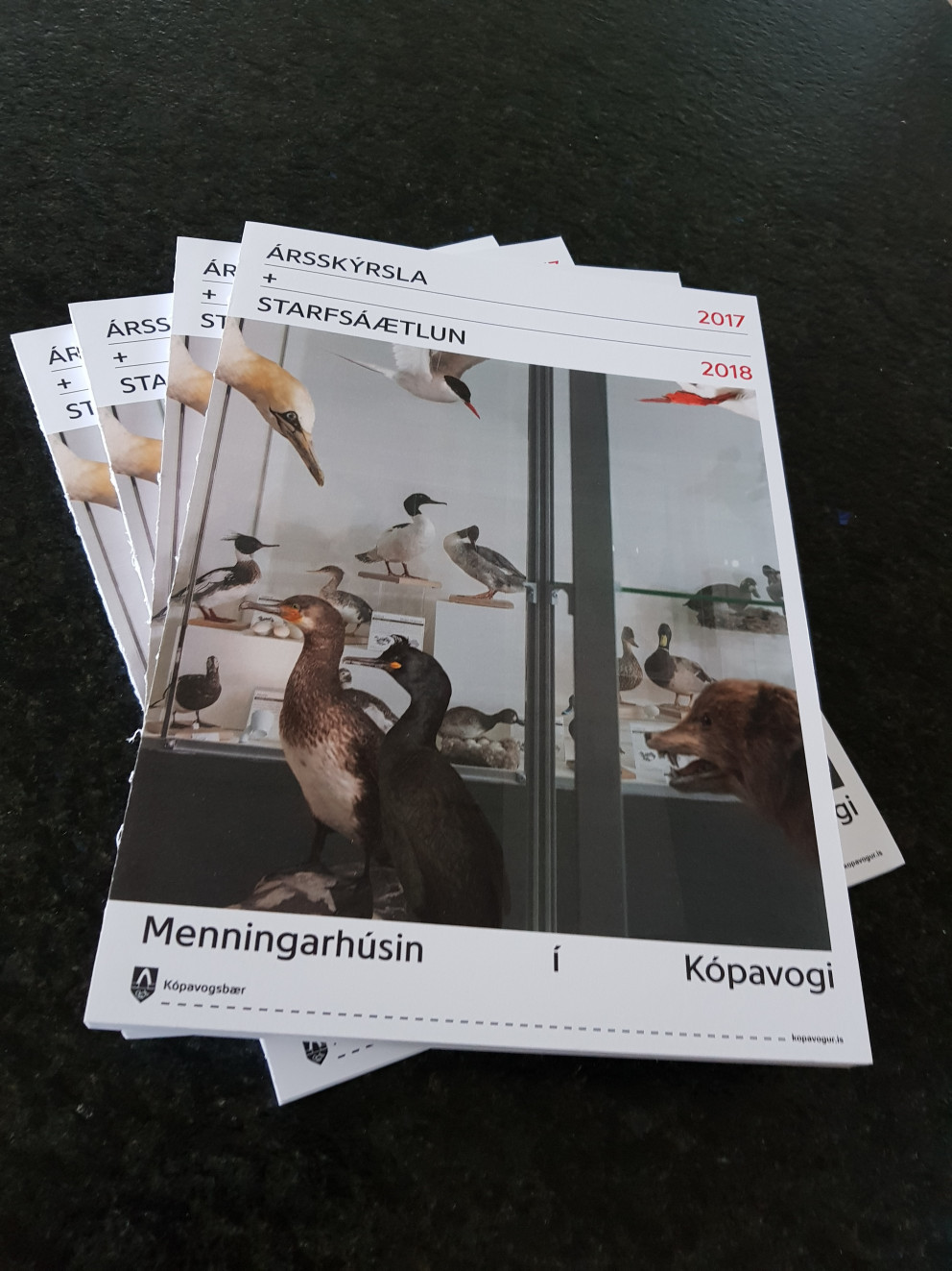 Ársskýrlsa menningarhúsanna 2017