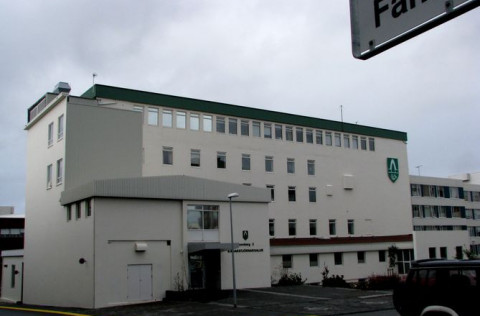 Fannborg 2
