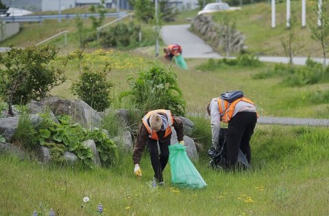 Vinnuskólinn í Kópavogi í hreinsunarstörfum.