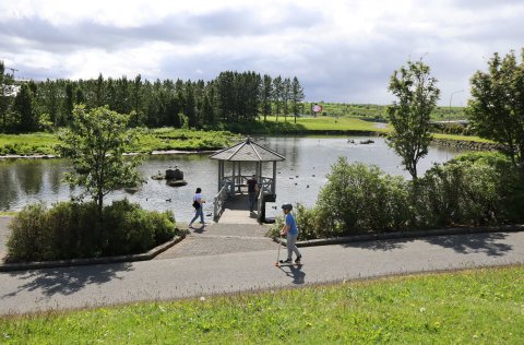Við Kópavogstjörn í Kópavogsdal.