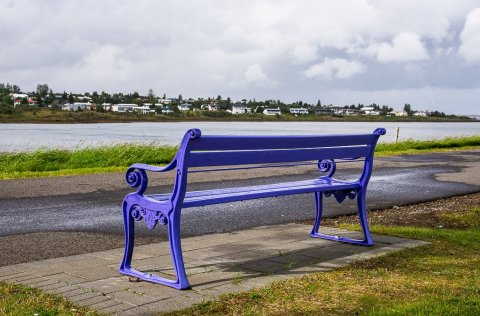 Fjólublár bekkur sem hefur verið settur upp á Kársnesi í tengslum við vitundarvakningu Alzheimer sa&hellip;