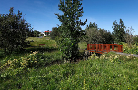 Kópavogsdalur