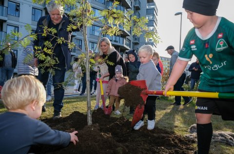 Yngstu íbúar í Álalind veittu öflugt liðsinni í gróðursetningu trés í götunni. Sigrún Hulda Jónsdót&hellip;